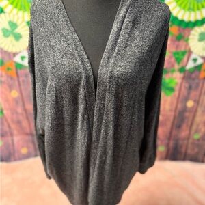 American Eagle Outfitters Gray V-Neck Sweater